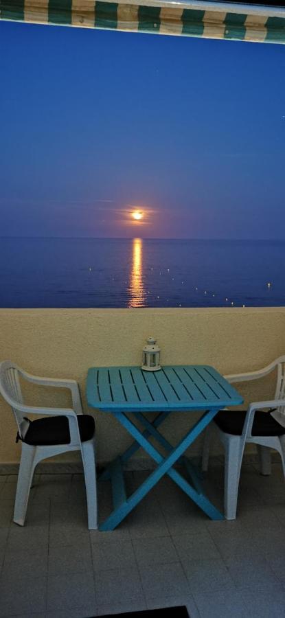 Studio Le Grand Bleu Fshh Nizza Exterior foto